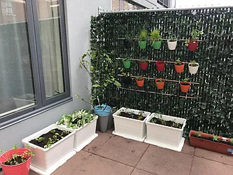 Rented by Keller Williams Realty Landmark II