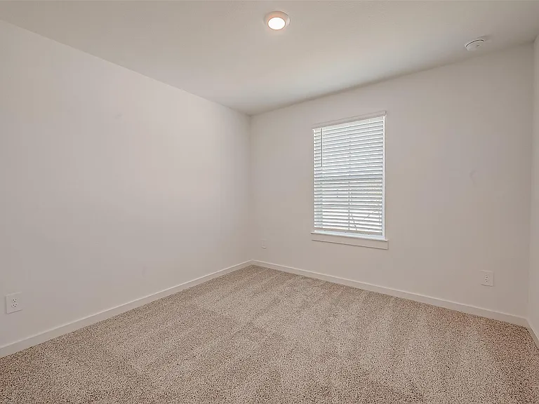 1018 Fringed Bluestar Dr — Photo 20