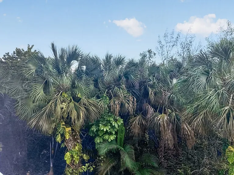 3041 Sandpiper Bay Cir #H201 — Photo 36