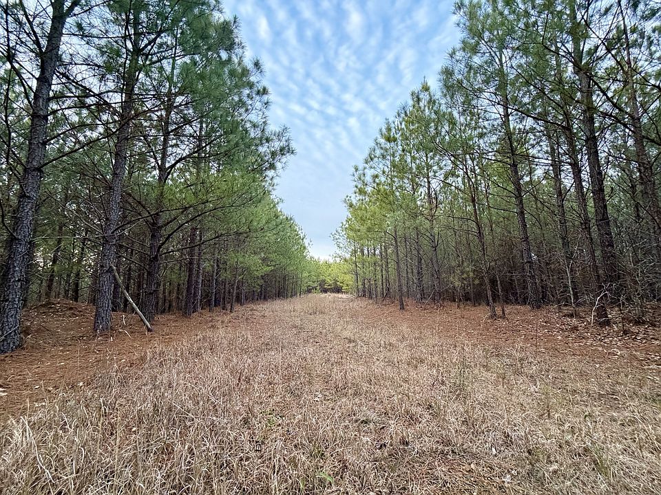 1st image of 1 Roan Creek Rd