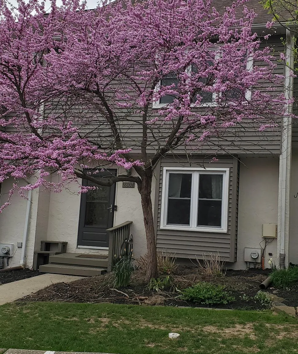 3 bed, 2.5 bath, 1644 sqft, $2,750 — Photo 1