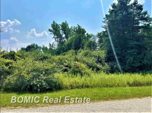 580 State Rd, Vassar, MI 48768