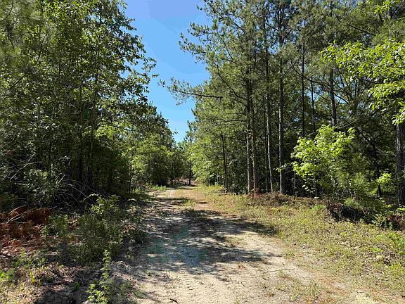 5th image of 43 Acres - 5432 Juneburn Rd.