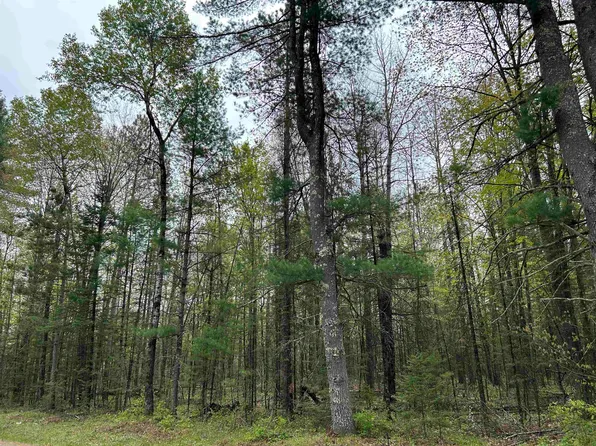 Cth W, White Lake, WI 54491