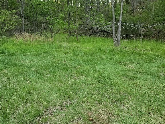 5th image of 6993 Franklin Rd