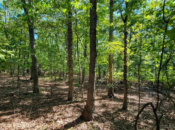 670 Grand Point Blvd, Sunrise Beach, MO 65079