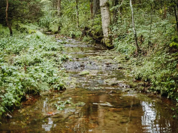 0 Wildfire Rd, Cadet, MO 63630