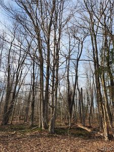 0 Jess Dr #5, Redfield, NY, 13437