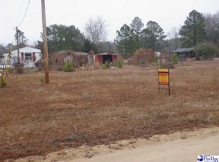 1132 Hulee Pl, Hamer, SC 29547