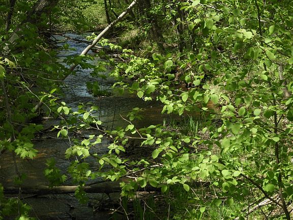 3rd image of 625X Iron Lake Rd