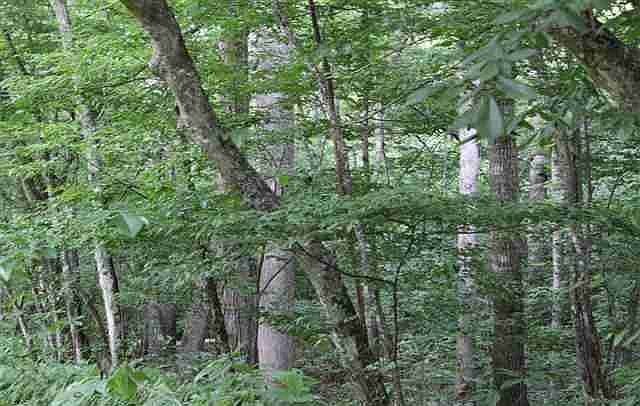 2nd image of 7000 Elk River Rd
