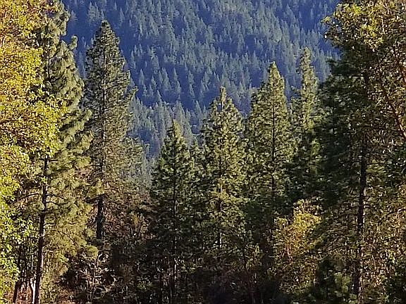 View from property driveway