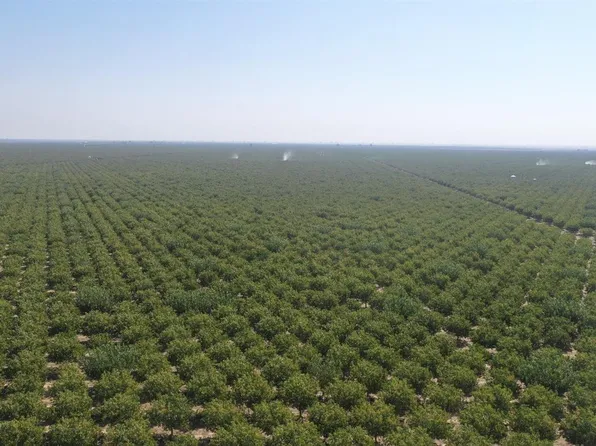 0 Highway 43, Earlimart, CA 93219