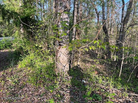 5th image of Pine Hollow Rd