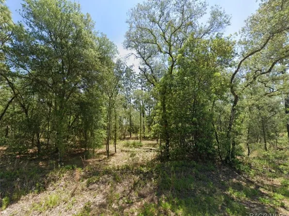 1831 NW Buena Vista Rd, Dunnellon, FL 34431