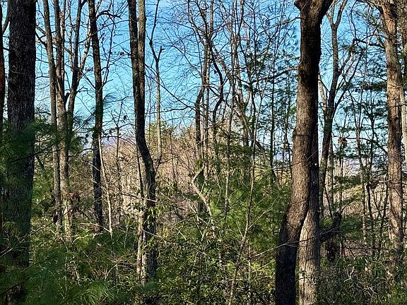 2nd image of LOT 42 Panico Trl