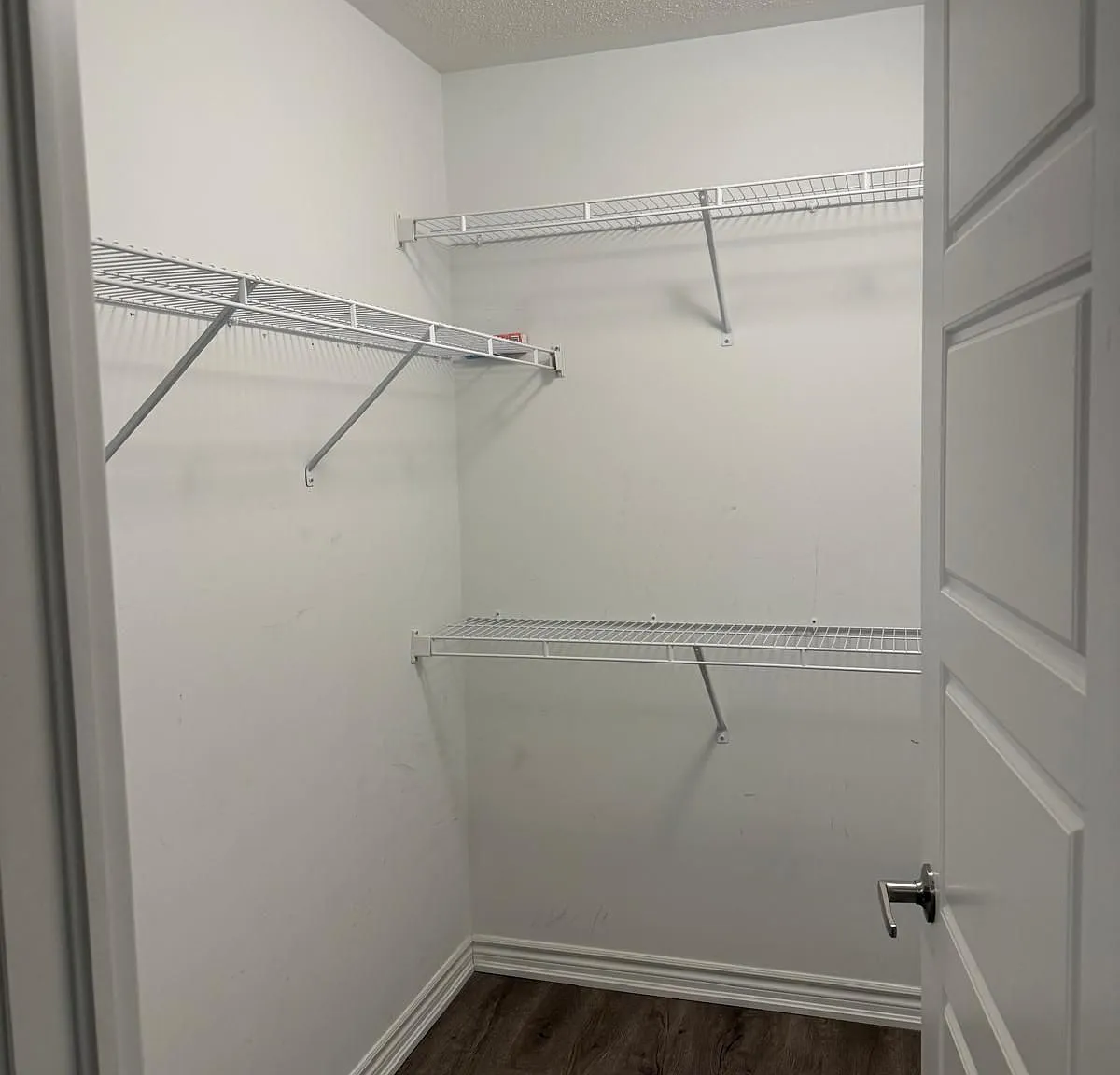 3 bed, $2,800 — Photo 4
