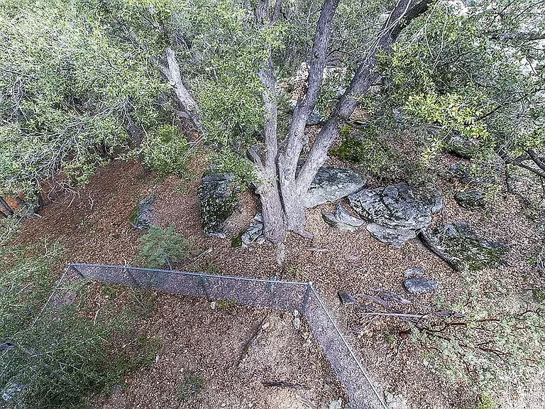 Enclosed Backyard