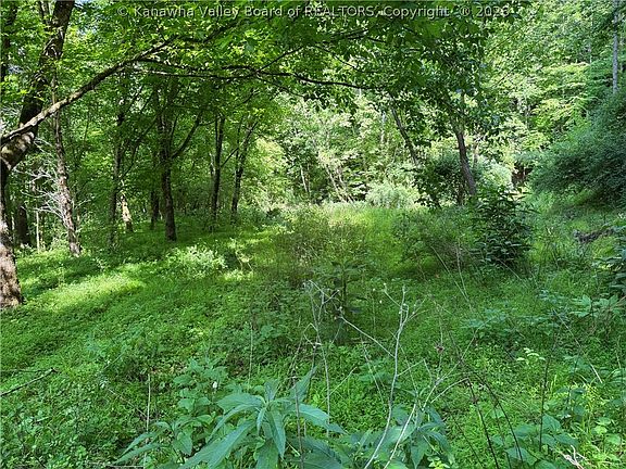 3rd image of 1492 Big Creek Rd