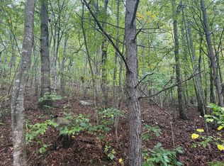 12 Sawmill Rd LOT 12, Palmer, TN 37365