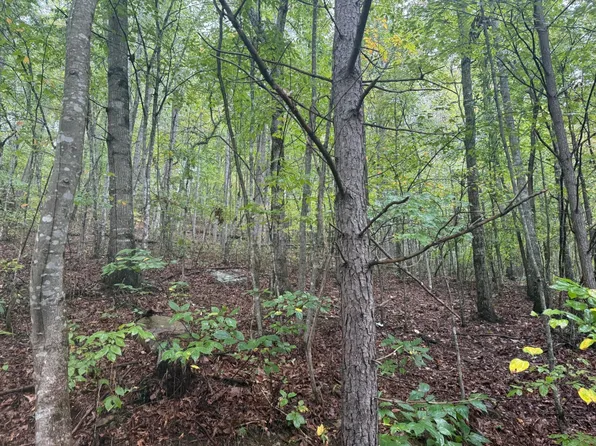 12 Sawmill Rd Lot 12, Palmer, TN 37365