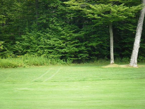 State land across fairway