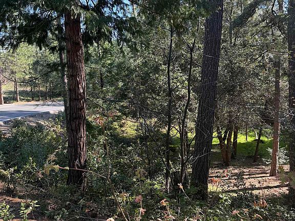 3rd image of (Undisclosed Address)