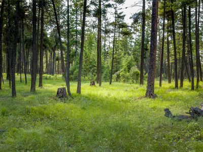 Nhn Hwy #93, Somers, MT, 59932