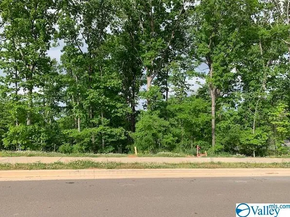 30 Watson Grande Way SE, Brownsboro, AL 35741