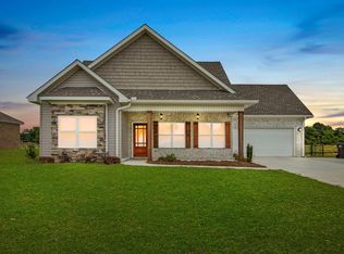 207 Borland Ave, Midland City, AL 36350