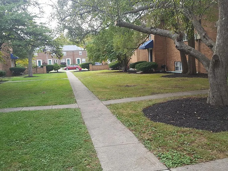 Grounds
