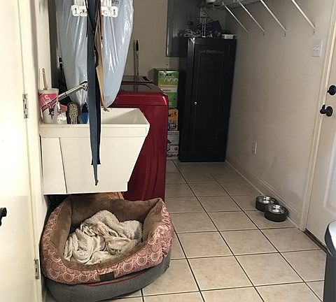 5th image of 1 Petit Ln