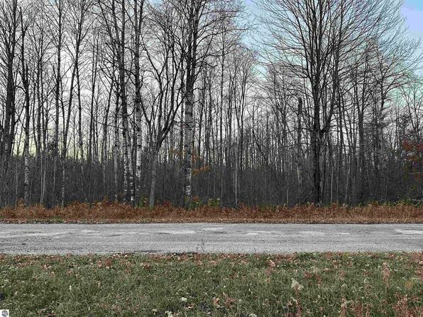 LOT 378 Hillview Dr, Elmira, MI 49730