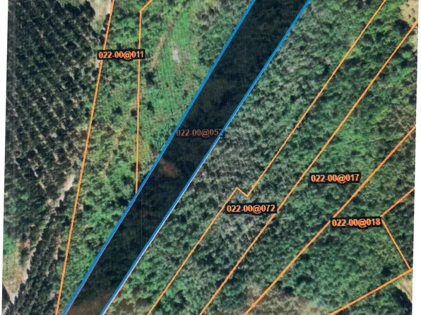 7518 Augusta Highway Hwy61 Hwy, Smoaks, SC 29481