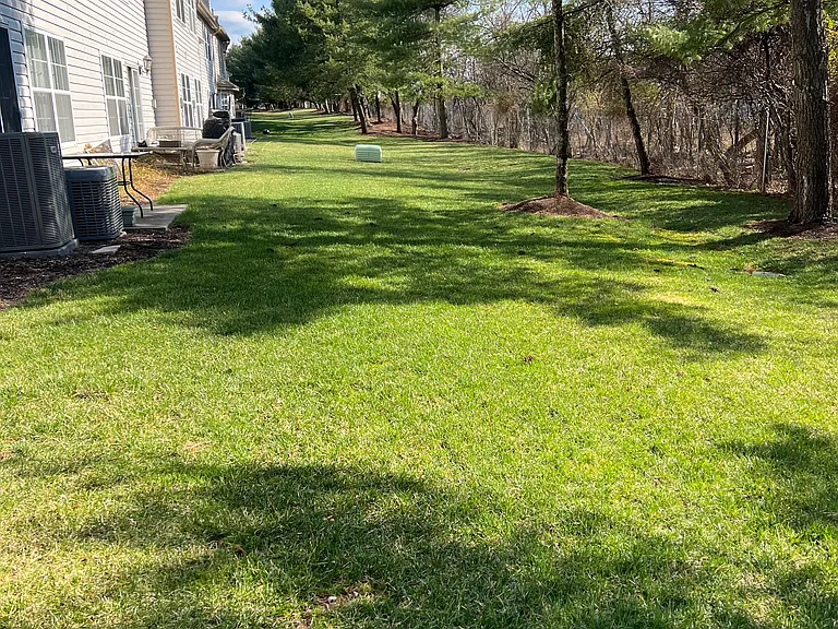 225 Nebula Rd — Photo 14