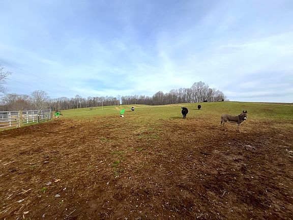 5th image of Dugpsur Rd