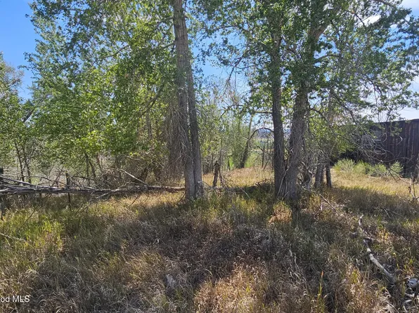Tbd Underwoods Ln, Montrose, CO 81403