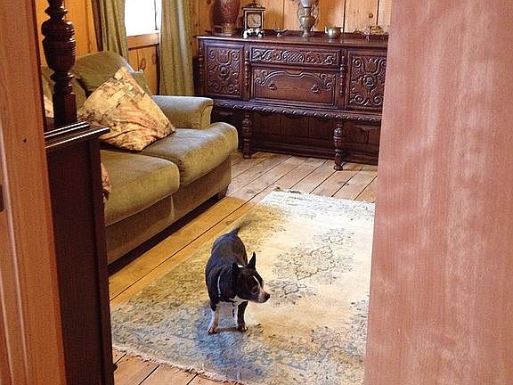 Cottage living room.