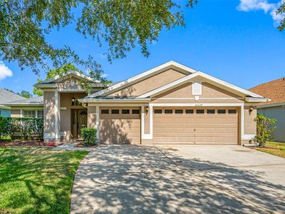 10559 San Travaso Dr, Tampa, FL, 33647
