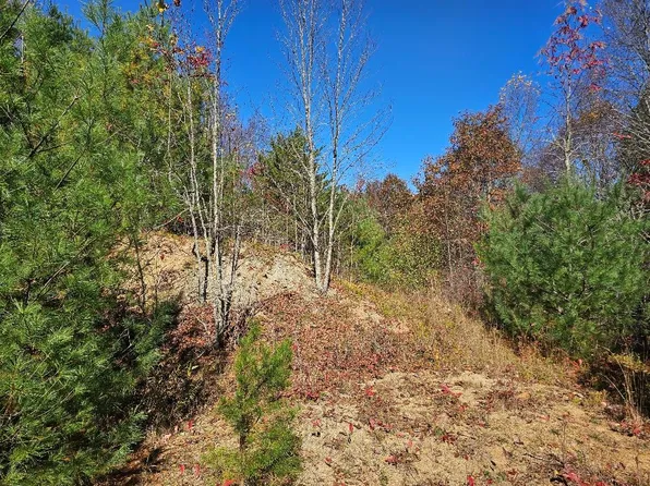 39E-2-17 Carsonville Rd, Independence, VA 24348