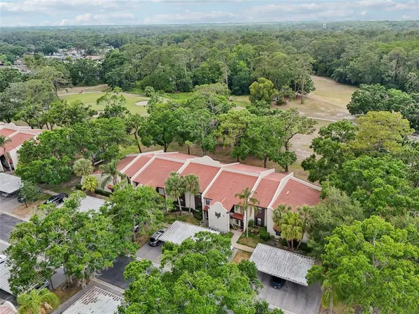 3505 Tarpon Woods Blvd APT K409, Palm Harbor, FL 34685