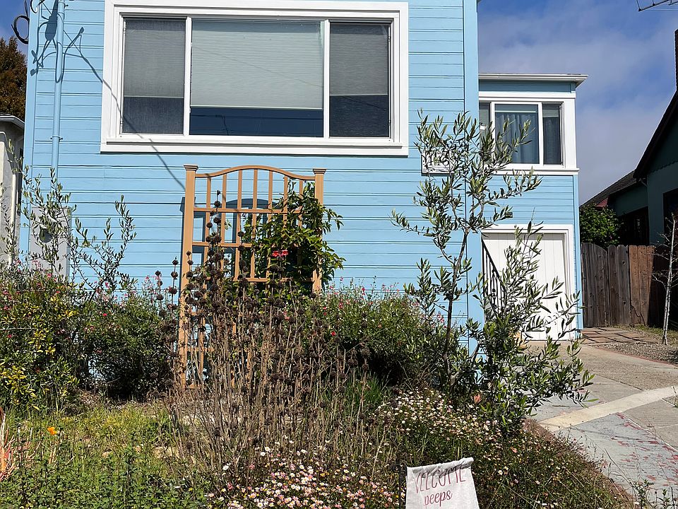 Low maintenance front yard