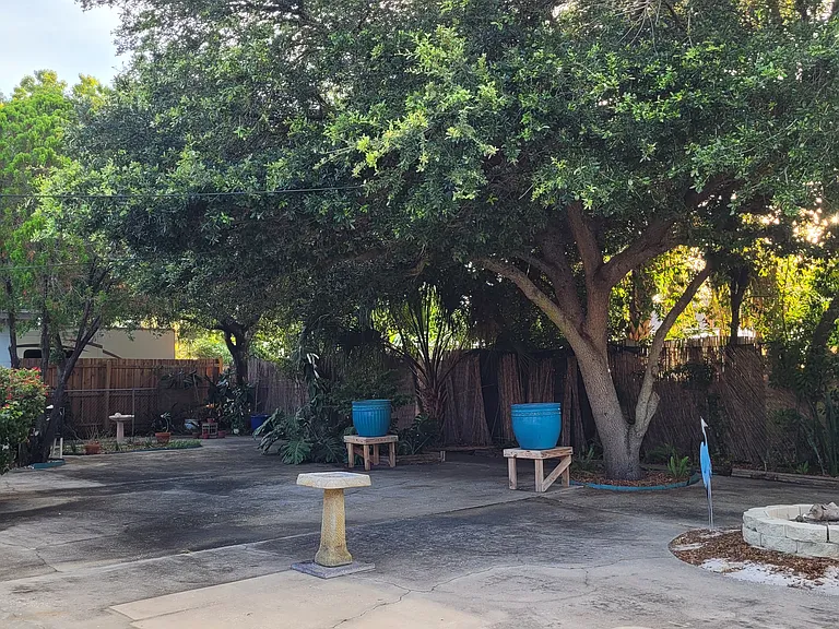 Back yard