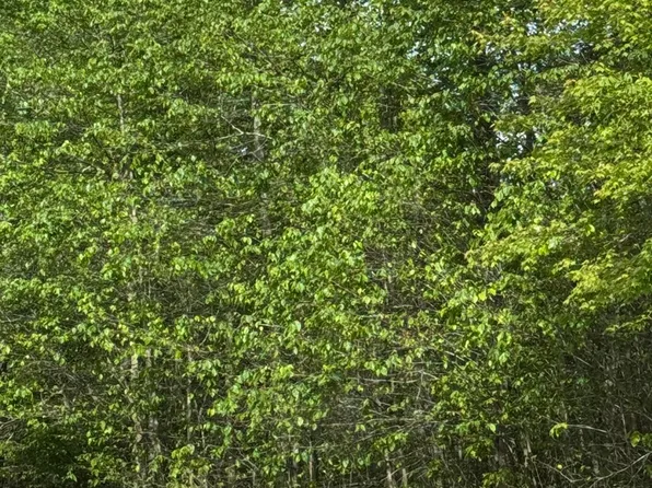 15 Jubilee Rd, Covington Township, PA 18424