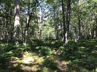 1327 S Warfield Rd, Wellston, MI 49689