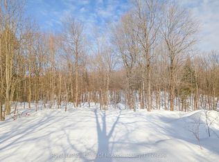 1100 Raymond Rd, Muskoka Lakes, ON P0B1M0