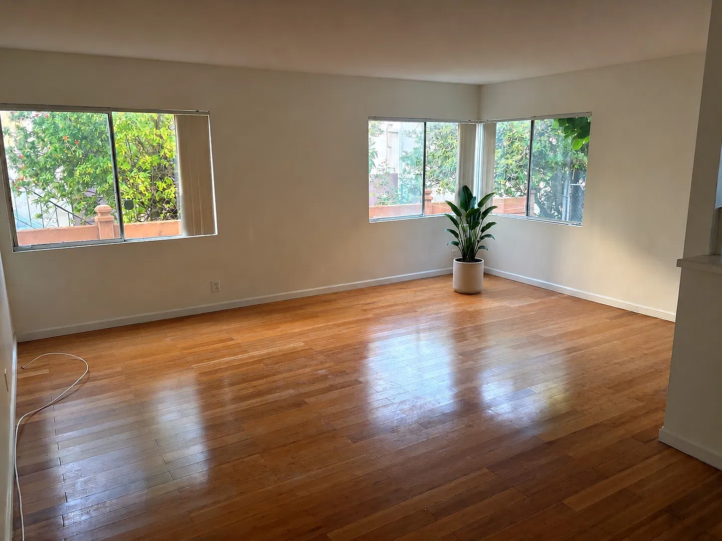 1 bed, 750 sqft, $2,300 — Photo 3