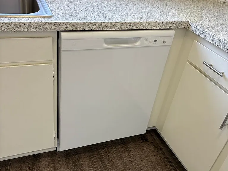 saf2229 — Photo 6