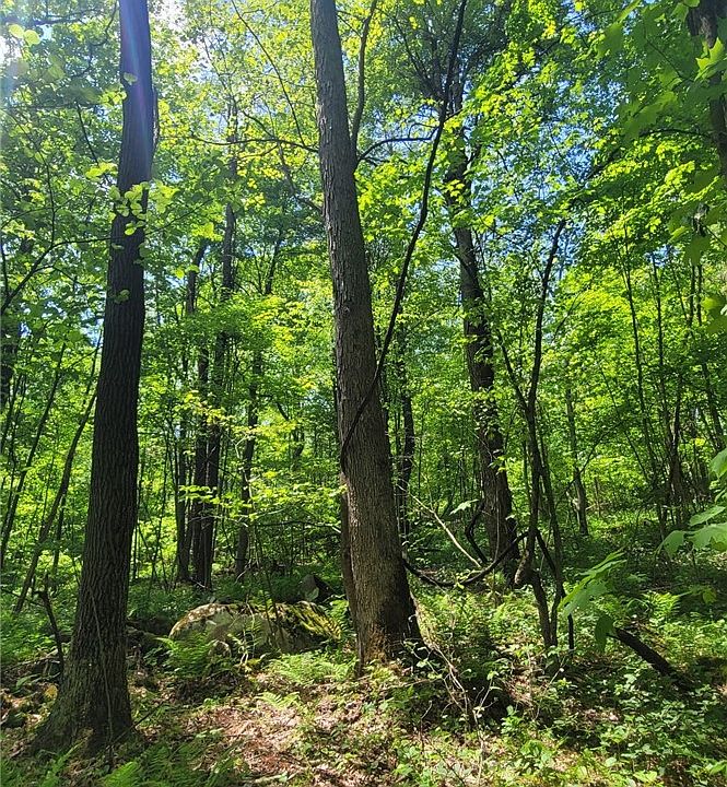 1st image of 166 Camp Achievement Rd