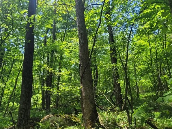 166 Camp Achievement Rd, Normalville, PA 15469